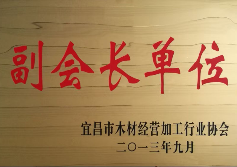 湖北森金木业荣获副会长单位