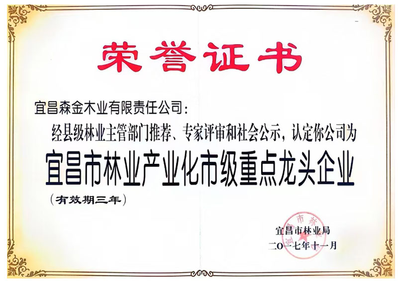 湖北森金木业荣获市级龙头企业